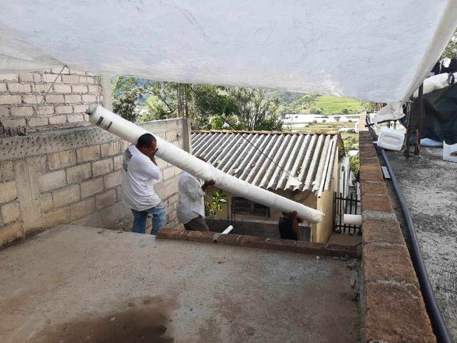 Imagen 2